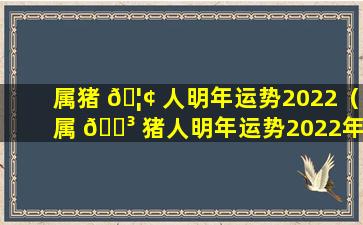 属猪 🦢 人明年运势2022（属 🌳 猪人明年运势2022年运程）